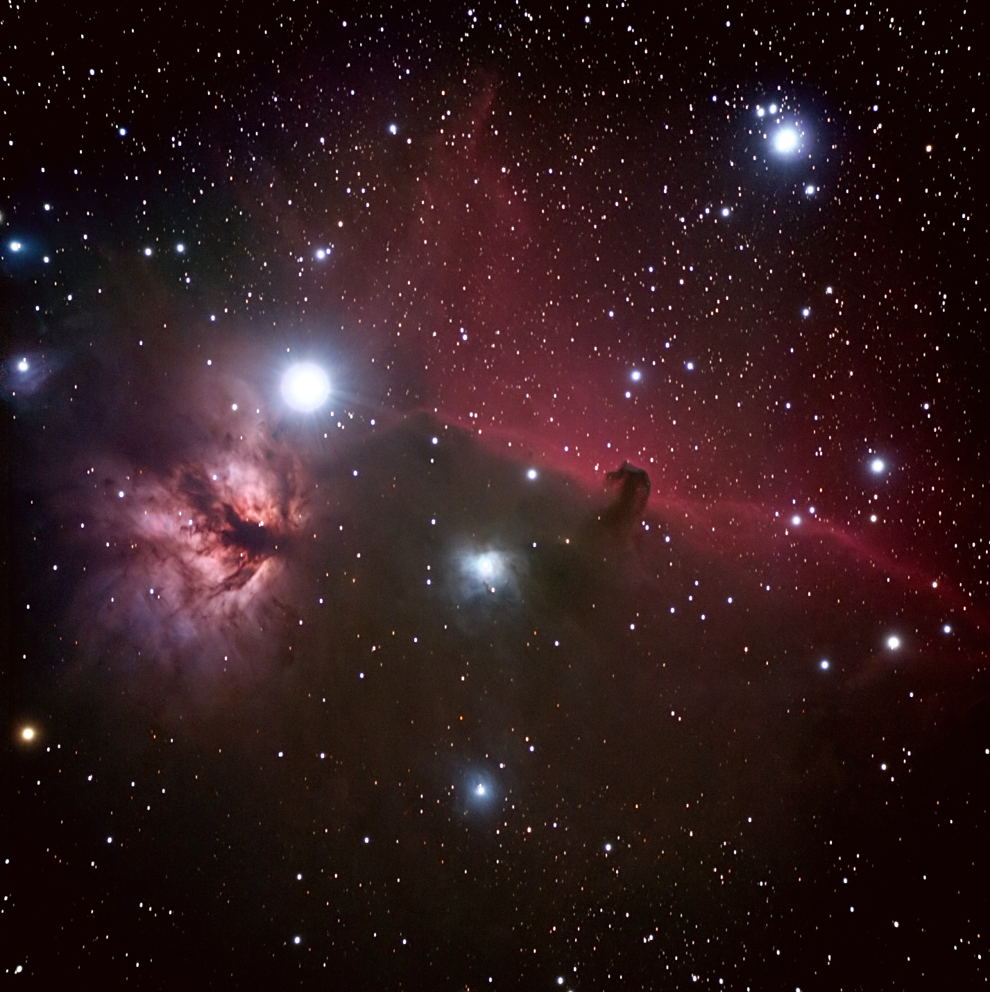 Horsehead final Feb 2010.jpg