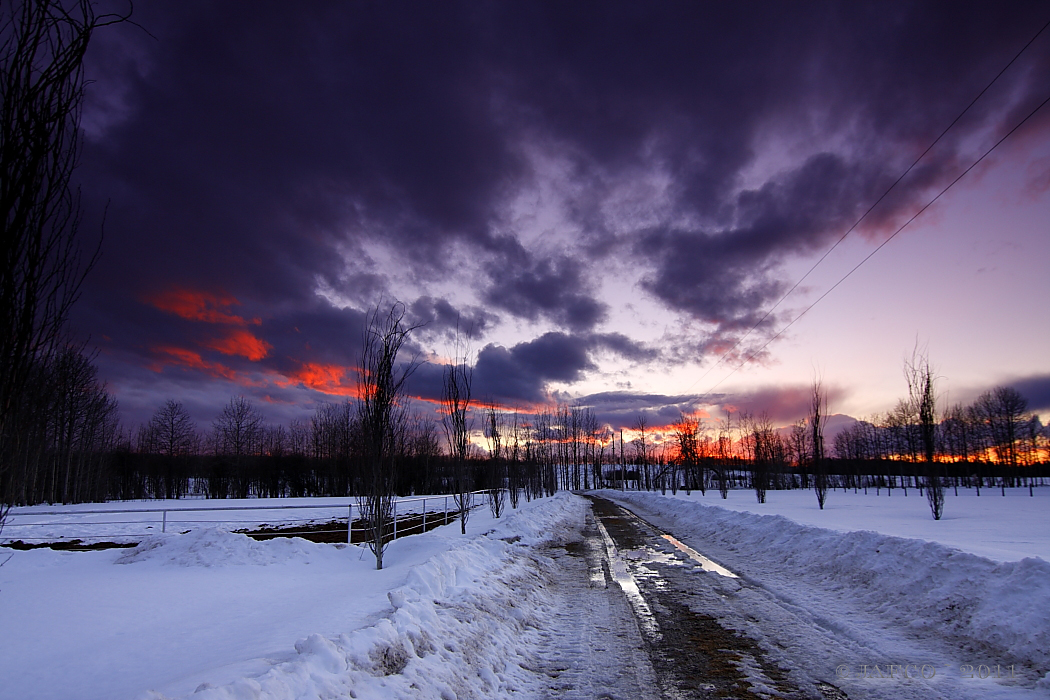 long road to spring