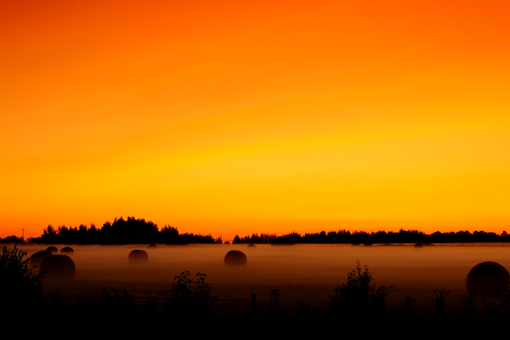 foggy morning