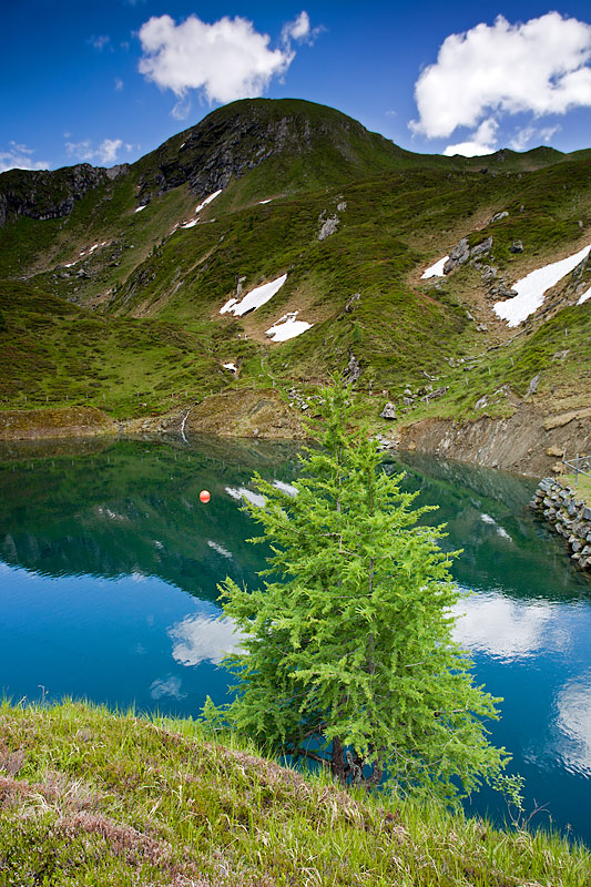 Kitzsteinhorn Mountain: Fir and Mountain Lake