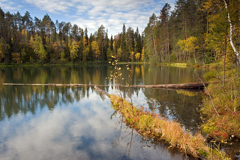 Oulanka National Park: Canyon Trek: Kirkasvetinenlampi