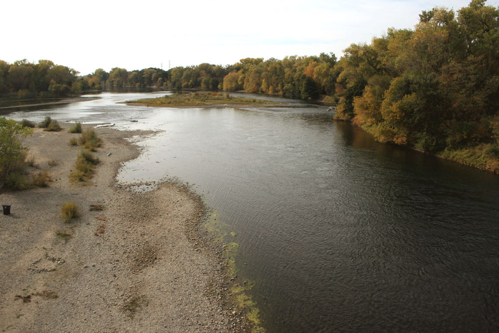 American River Bikeway