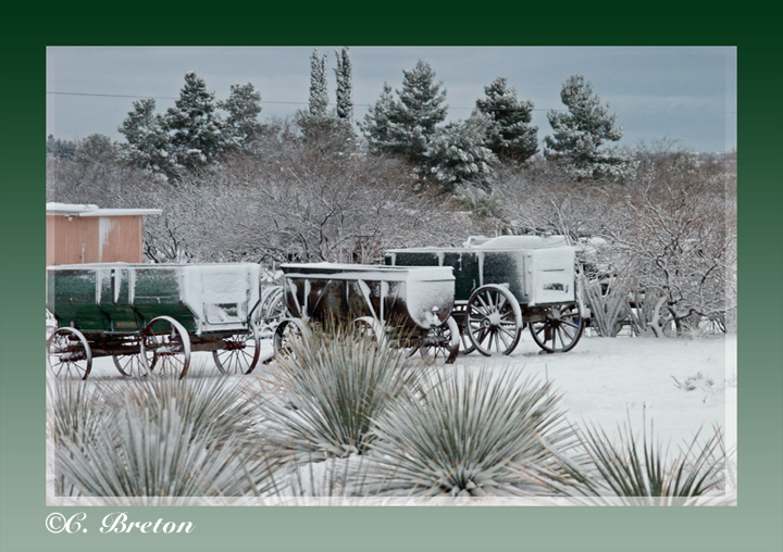 Wagons In The Snow