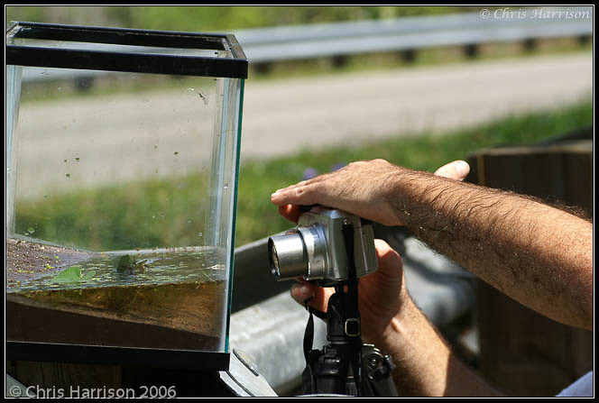 aquarium_photo.jpg