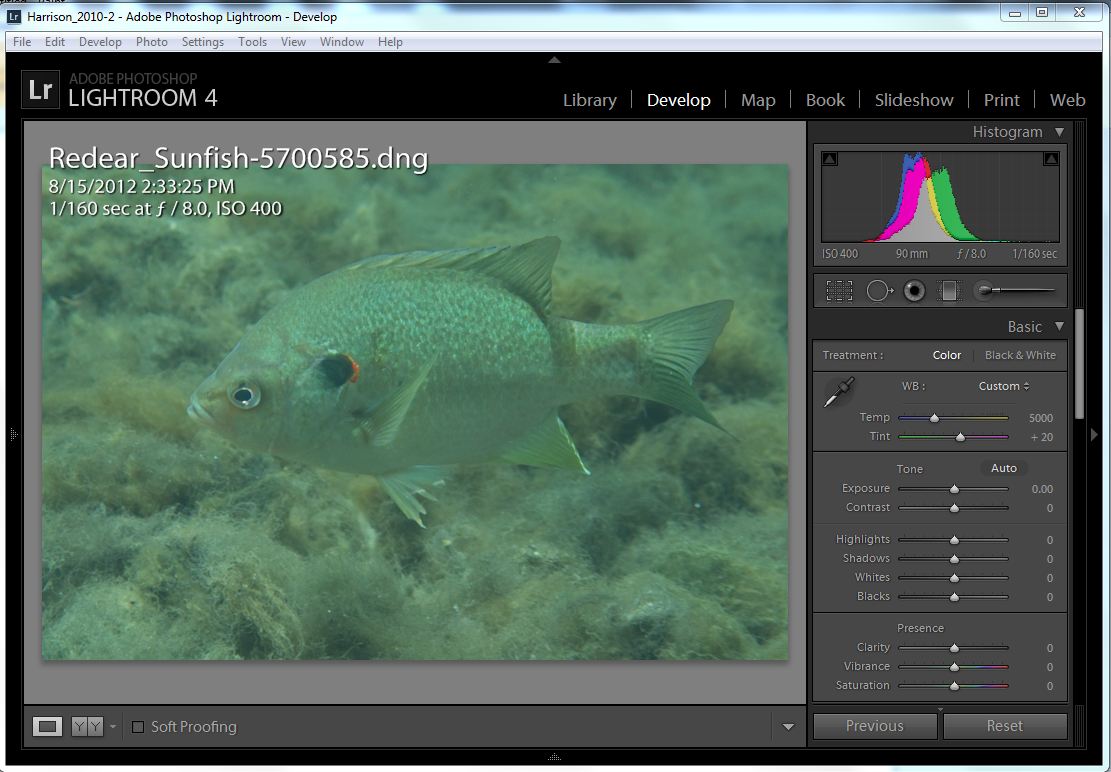 fish_1_original.JPG