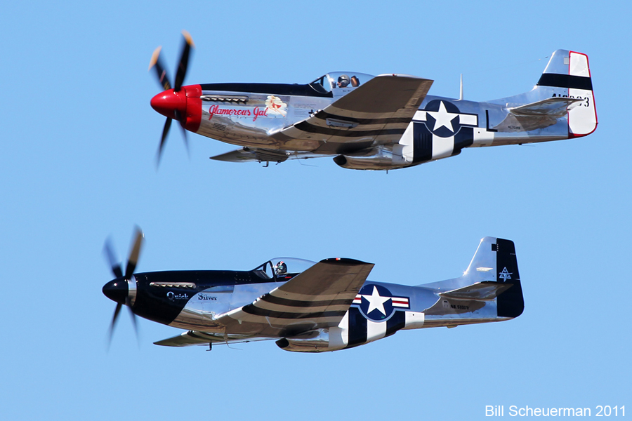 t11_p51s.jpg