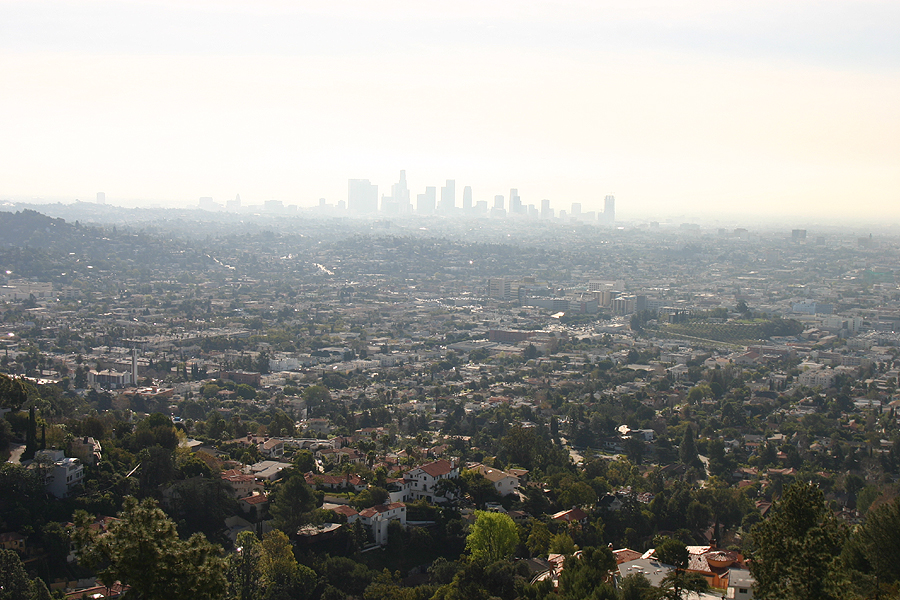 LA_016.jpg