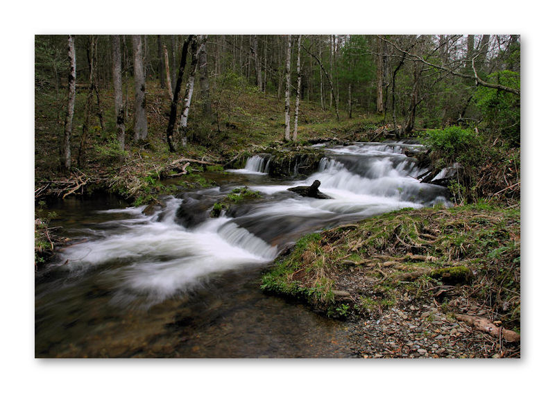 Flowing Along