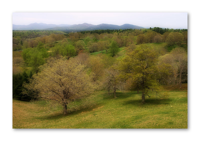 Rolling Hills