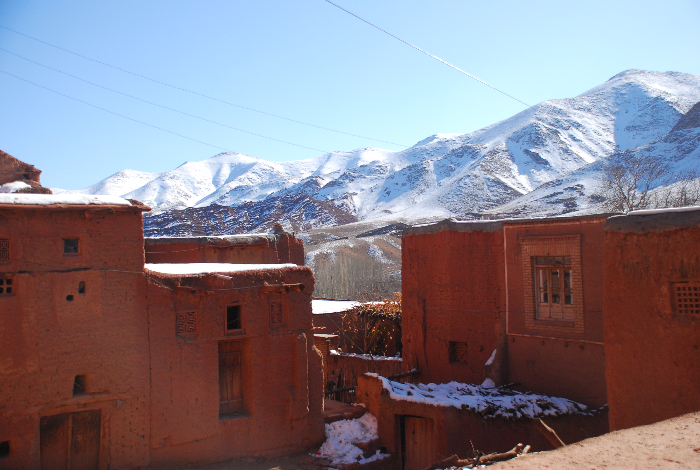 DSC_1103.JPG