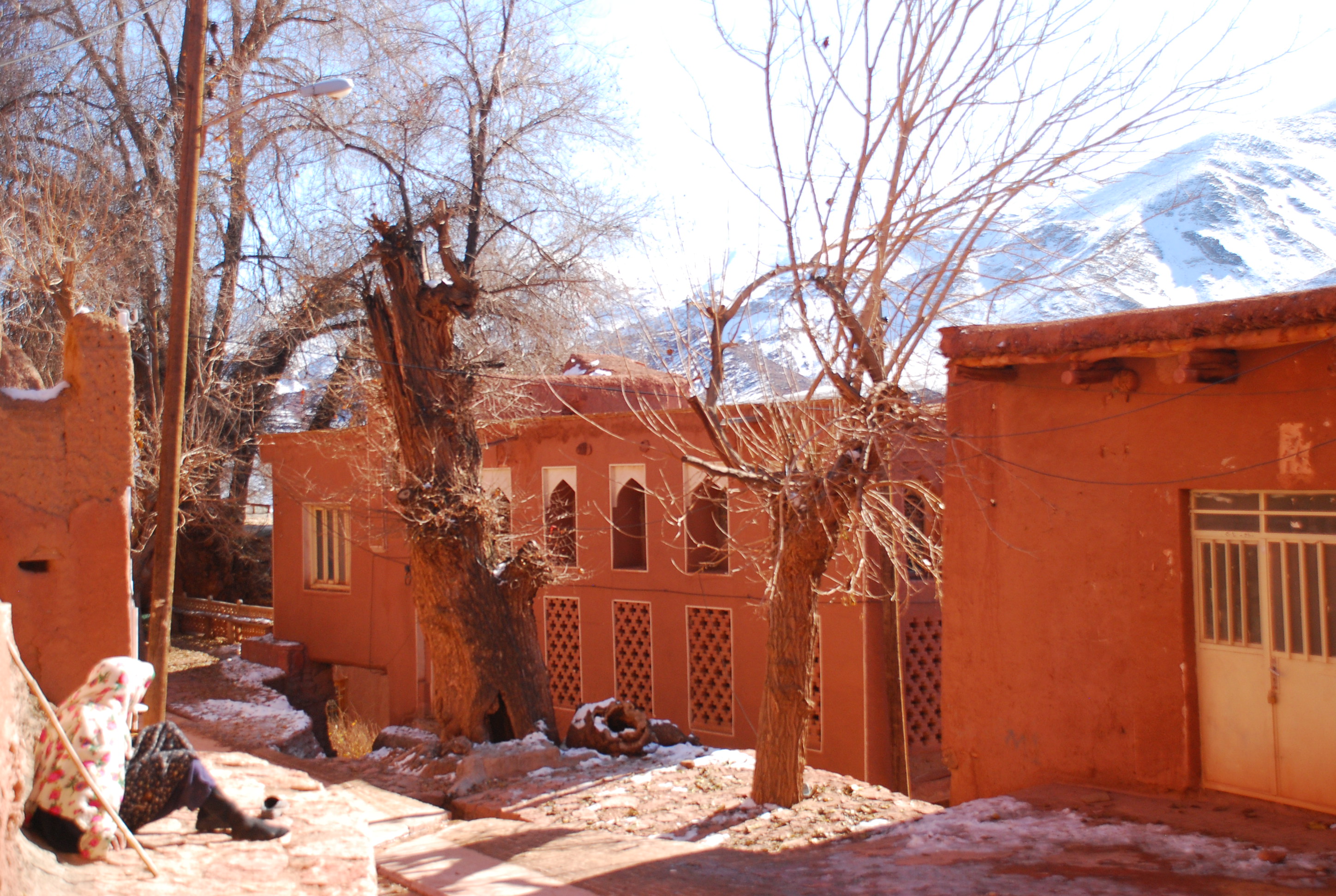 DSC_1106.JPG
