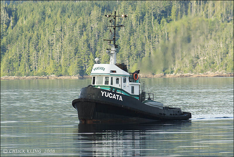 TUG IN JOHNSTONE STRAIT