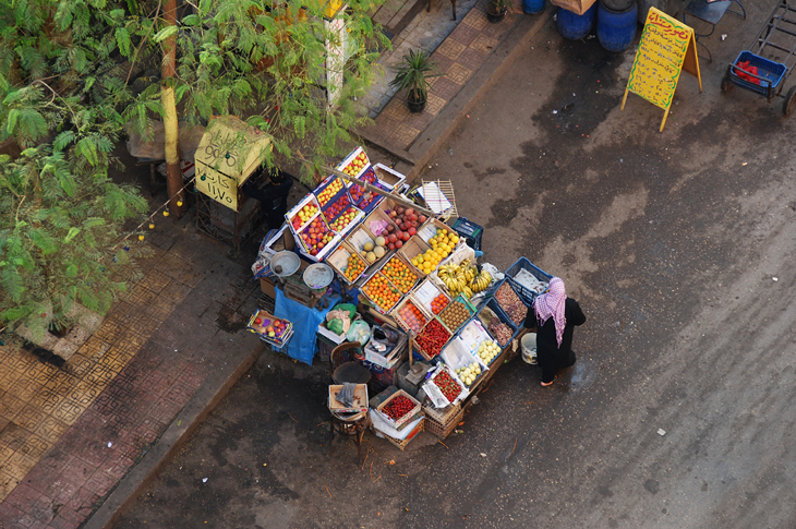 The Fruit Cart