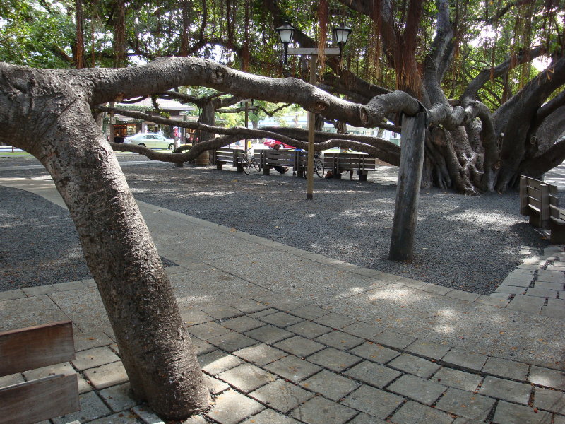 sDSC01557.JPG