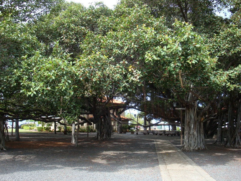 sDSC01569.JPG