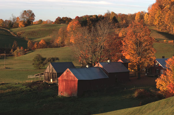 Fall 08 VT