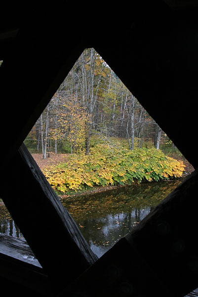 Fall 08 VT