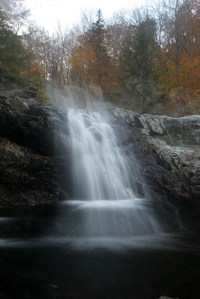 Fall 08 VT