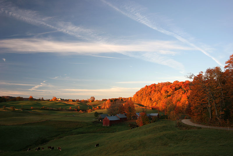 Fall 08 VT