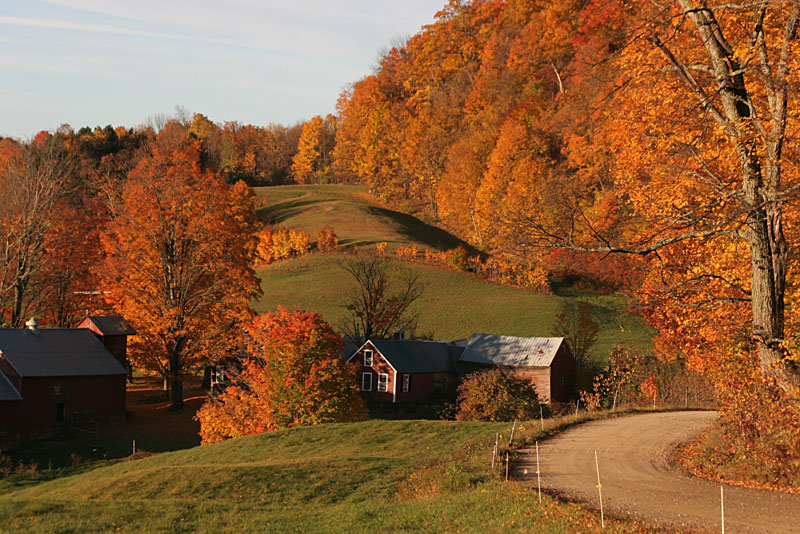 Fall 08 VT