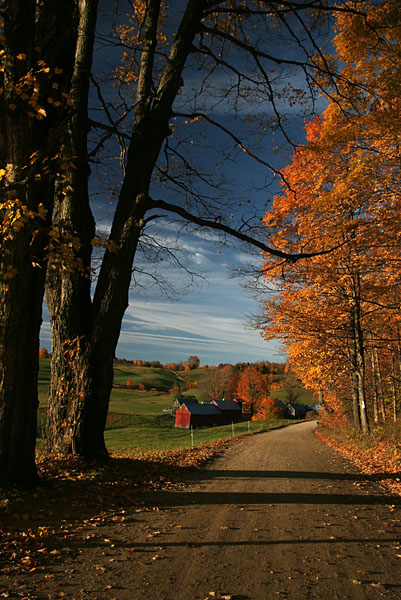 Fall 08 VT