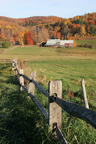 Fall 08 VT