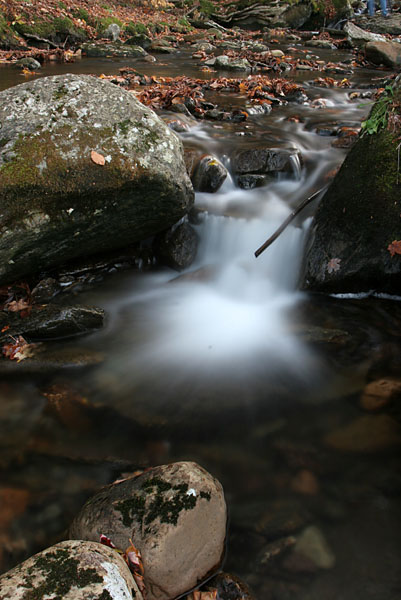Fall 08 VT