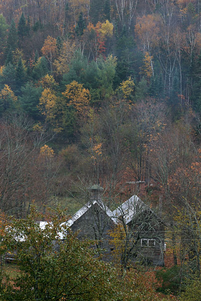 Fall 08 VT