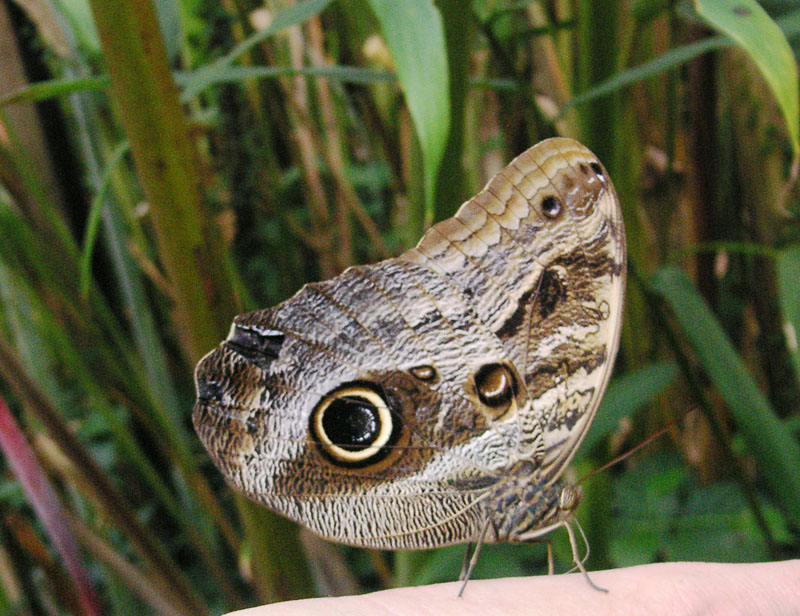 PICT0194.jpg