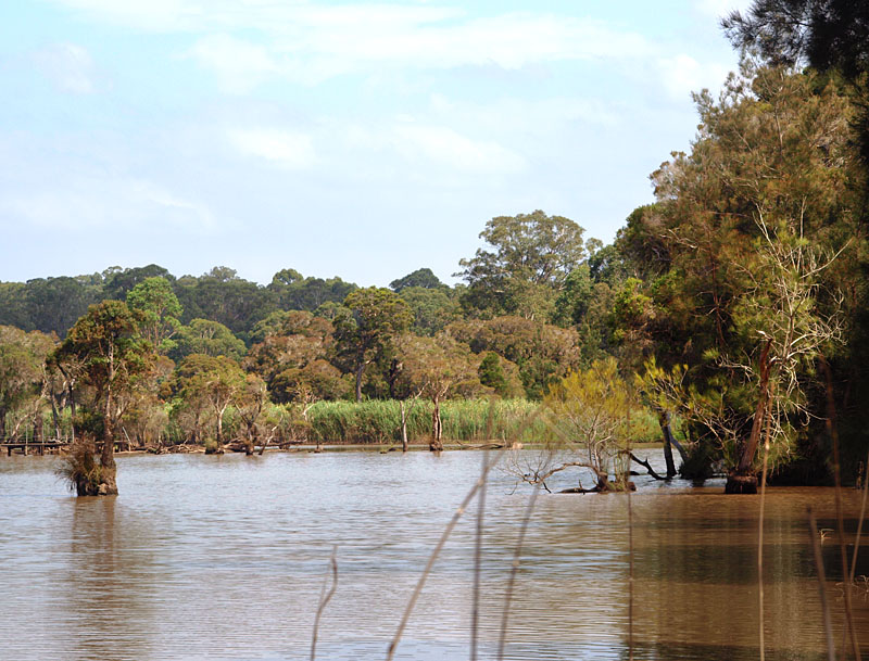 Long Neck Lagoon