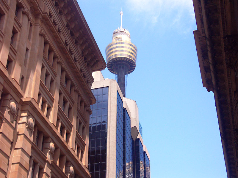 A glimpse of Sydney Tower