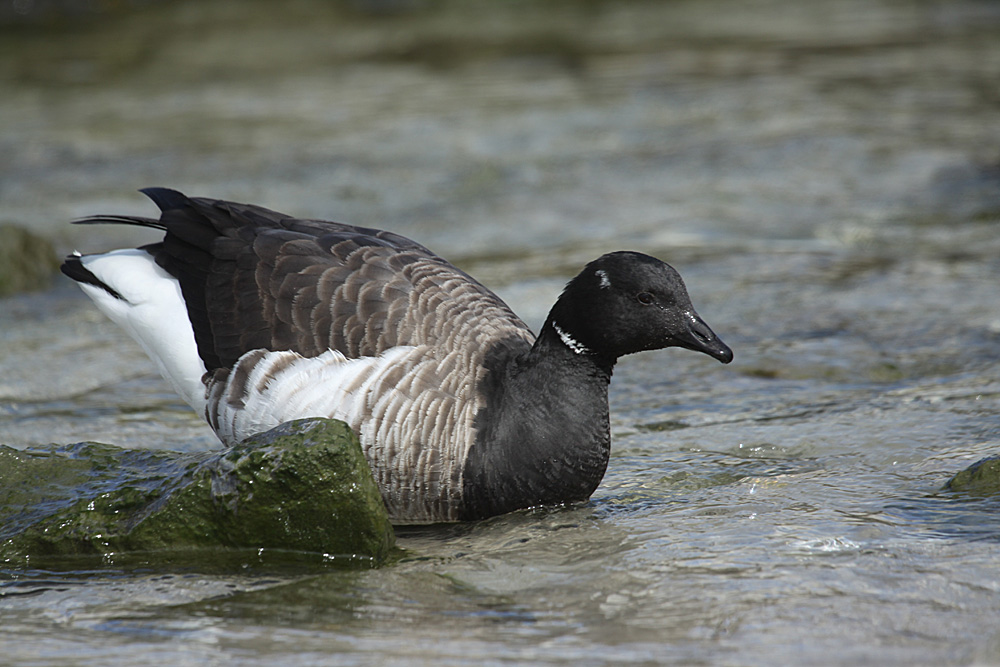 IMG_7590_2.jpg