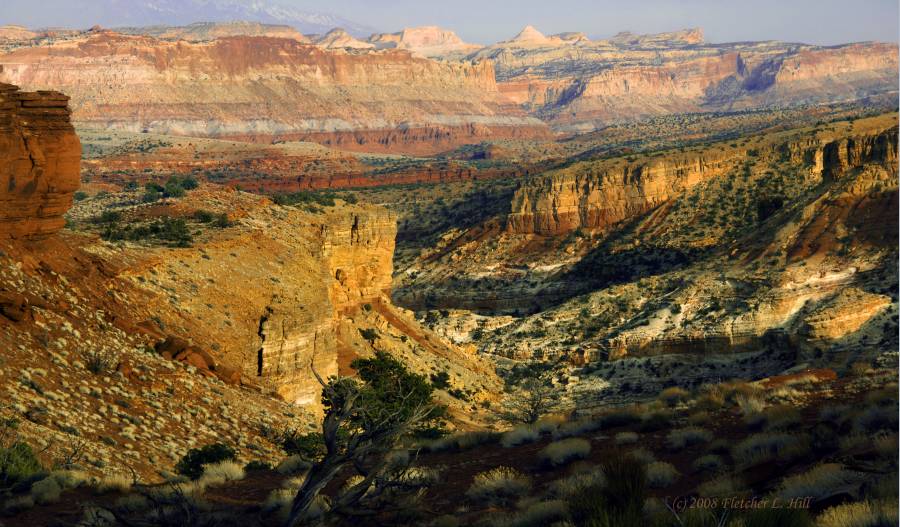 A Look Toward the Monocline