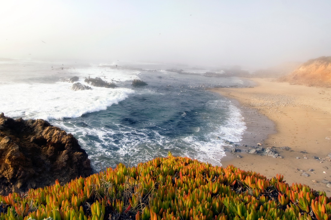 Central California Coast