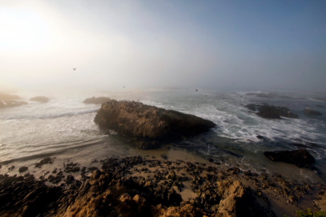 Central California Coast