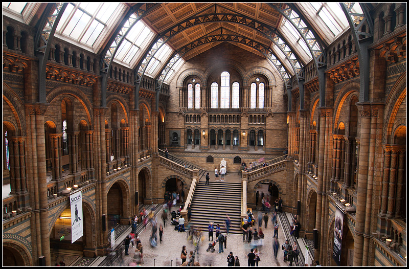 Museum Lobby I