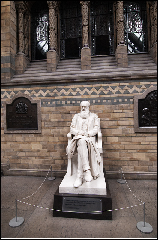 Darwin Statue