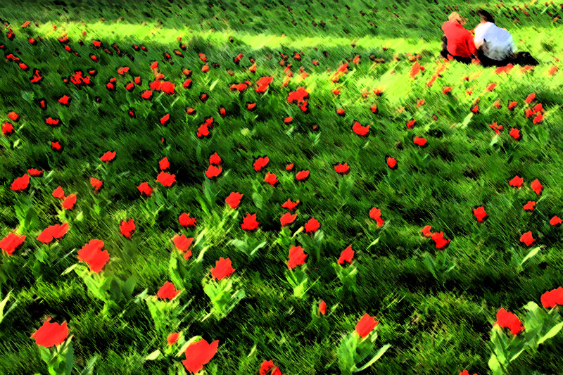 Le couple aux tulipes