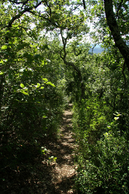 Autre sentier