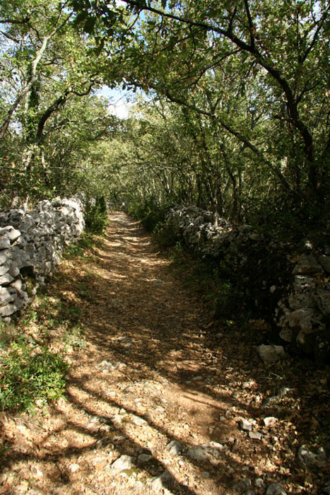 Sentier