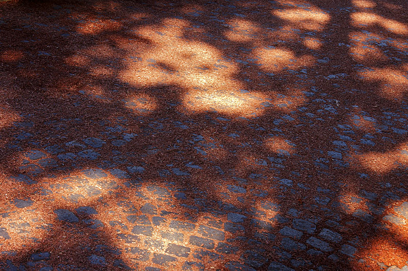 Sympathetic urban ground