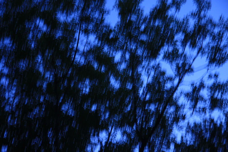 Crepuscule