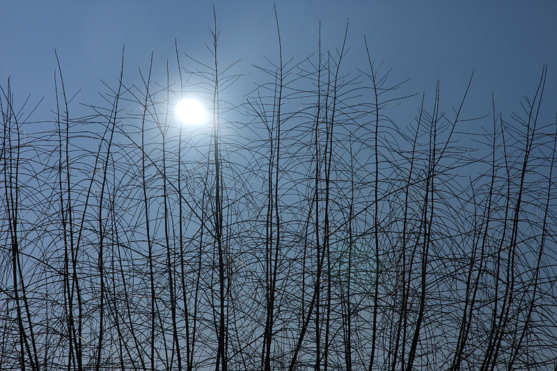 False Sun
