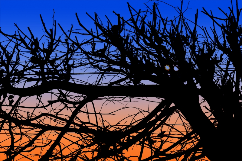 Chinese shadow Sunset