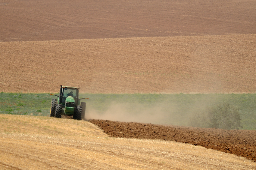 <h5>Field Layers - שדות בשכבות</h5>