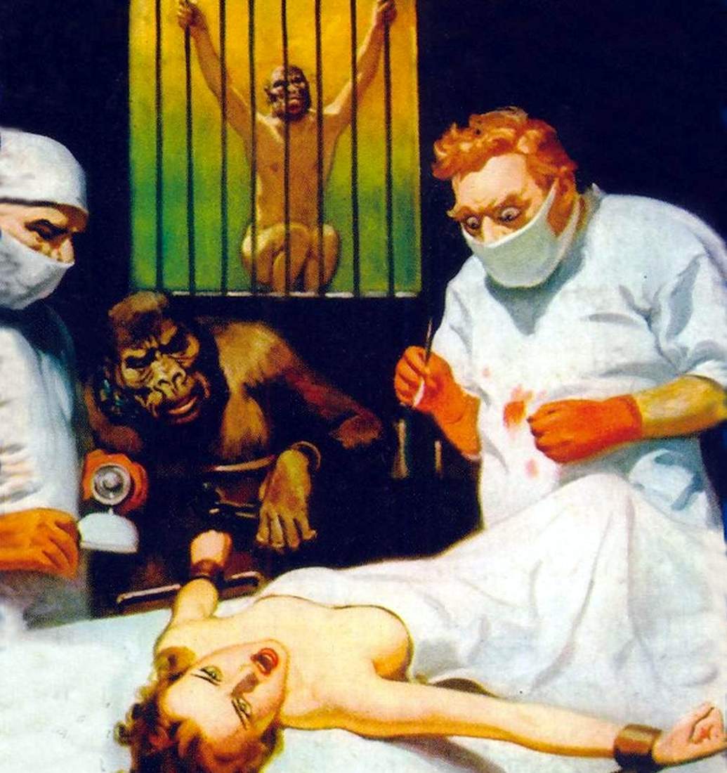 Dr. Mitchell