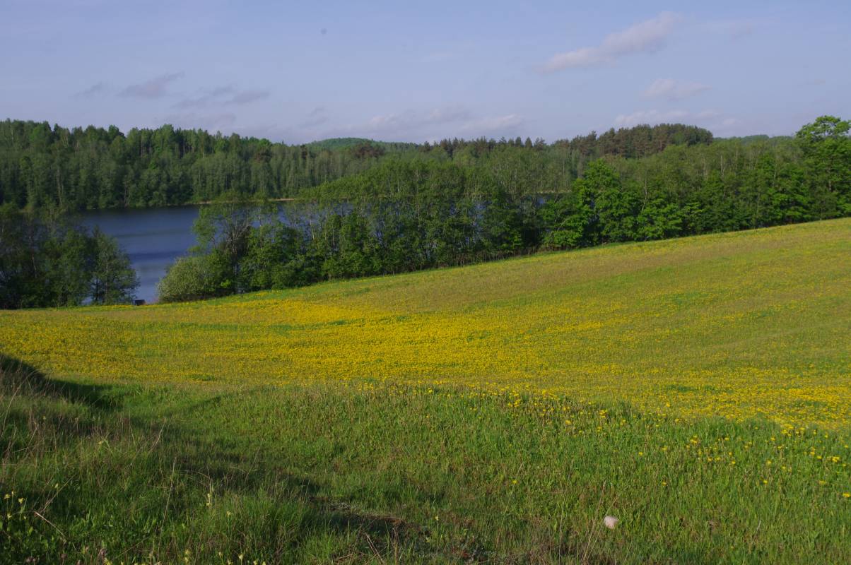 Razna National Park