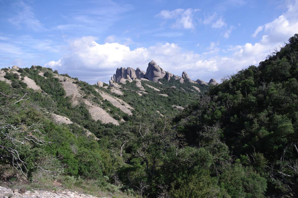 Cliffs above the Monastery