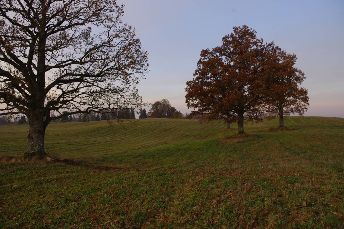 Talsi area