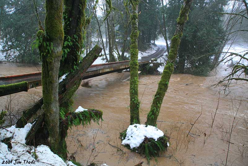 Log passing under bridge